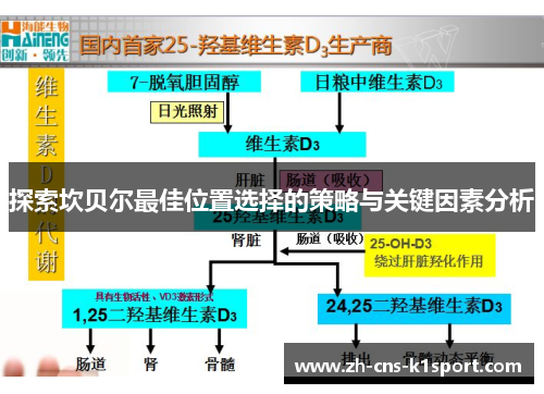 探索坎贝尔最佳位置选择的策略与关键因素分析