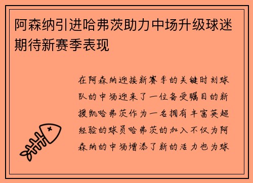 阿森纳引进哈弗茨助力中场升级球迷期待新赛季表现